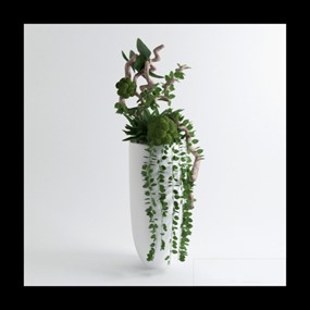 室内装饰盆栽模型设计